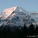 Jonathan Robson Photo 5
