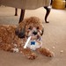 Winston Chew Photo 19