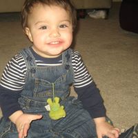 Michelle Shaheen Photo 8