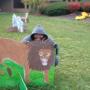 Loretta Mobley Photo 1