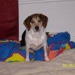 Jean Shafer Photo 12