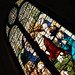 Elizabeth Glass Photo 16