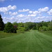 Harold Downing Photo 4