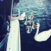 Melanie Swan Photo 11