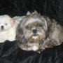 Terri Dill Photo 2