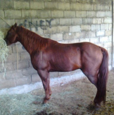 Ramon Contreras Photo 20