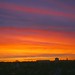Jim Shepherd Photo 20