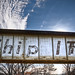 Clinton Watson Photo 35