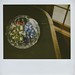 Vicki Crow Photo 28