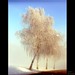 William Teems Photo 4