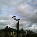 Edward Crow Photo 12
