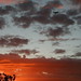 David Concepcion Photo 41