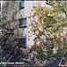Billy House Photo 42