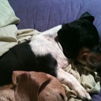 Debra Posey Photo 27