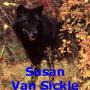 Susan Vansickle Photo 10