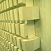 Joel Marshall Photo 35