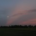 Dawn Greenfield Photo 10