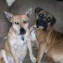 Kelly Fuller Photo 38