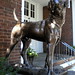 Barbara Dunn Photo 15