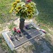 Bill Graves Photo 46