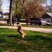 Margaret Bosco Photo 8