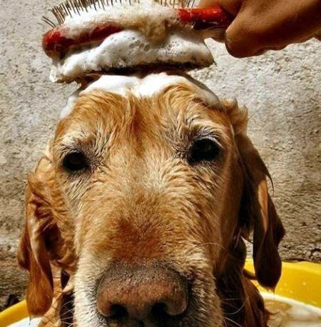 Tania Segovia Photo 4