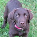 Bonnie Edmonds Photo 10