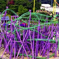 David Randall Photo 29