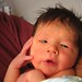 Julian Rose Photo 24