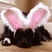 Sharon Flagg Photo 8