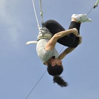 Robin Levitt Photo 14
