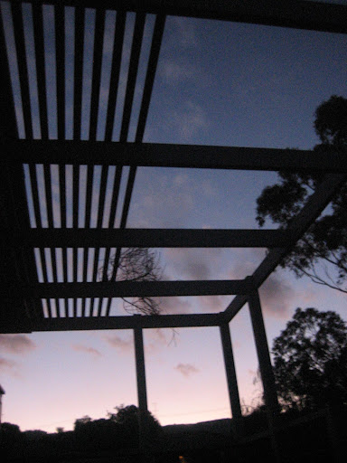 Jenny Cook Photo 6