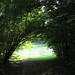 Merle Meadows Photo 4
