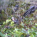 Amy Gulley Photo 26