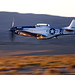 Darryl Stephens Photo 29