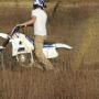 James Dumont Photo 28