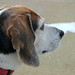 Charlie Frost Photo 17