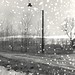 Sarah Lesser Photo 11