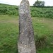 Phillip Ridgway Photo 6