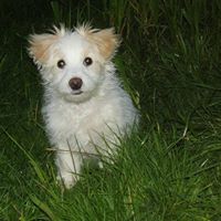 Kathy Stubbs Photo 11