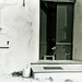 Donna Rossi Photo 18