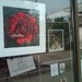 Christy Barkley Photo 9