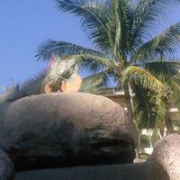 Christine Delong Photo 19