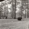 Martha Tompkins Photo 22