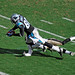 Dwayne Banks Photo 10