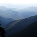 Forrest Taylor Photo 25