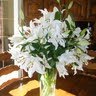 Sharon Mccarthy Photo 35