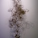Angel Marcano Photo 46