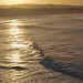 Dawn Phillips Photo 13