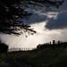 Ray Wiese Photo 8